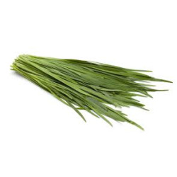 Chives, Garlic 50g